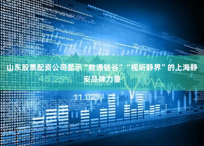 山东股票配资公司显示“数通链谷”“视听静界”的上海静安品牌力量