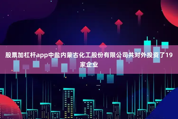 股票加杠杆app中盐内蒙古化工股份有限公司共对外投资了19家企业