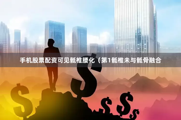 手机股票配资可见骶椎腰化（第1骶椎未与骶骨融合