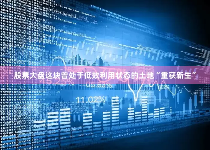股票大盘这块曾处于低效利用状态的土地“重获新生”